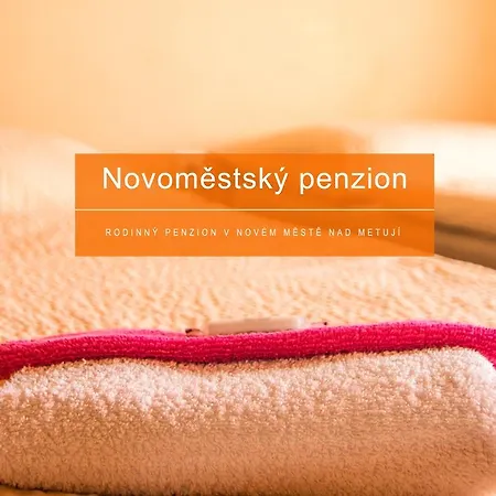Pensionat Novomestsky *